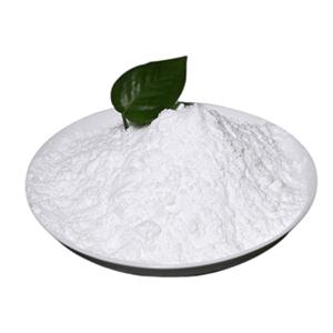 Carboxymethyl chitosan