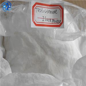 Testosterone isocaproate