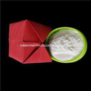 CARBOXYMETHYLCELLULOSE SODIUM SALT