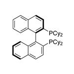 (R)-2,2'-Bis(dicyclohexylphosphino)-1,1'-binaphthalene pictures