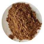 Maca root extract pictures