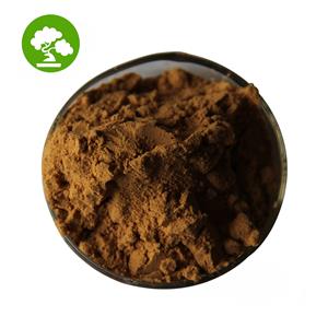 Reishi Extract Powder