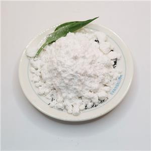 sodium,2-methyl-3-phenyloxirane-2-carboxylic acid