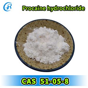 Procaine hydrochloride