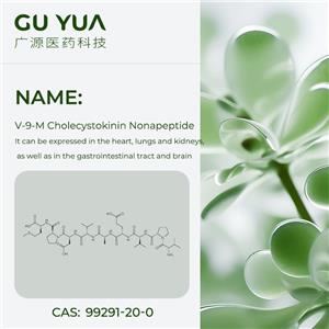 V-9-M Cholecystokinin Nonapeptide