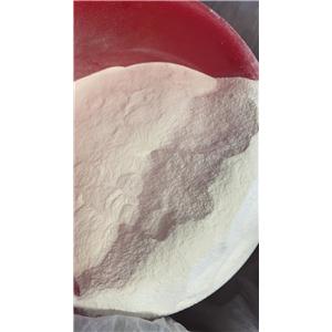 Carboxymethyl Chitosan