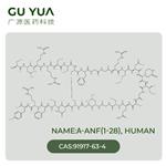 Atrial Natriuretic Peptide human pictures