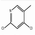 2,4-Dichloro-5-Methylpyridine pictures
