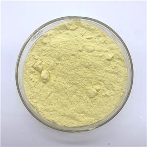 3,3'-BITHIOPHENE