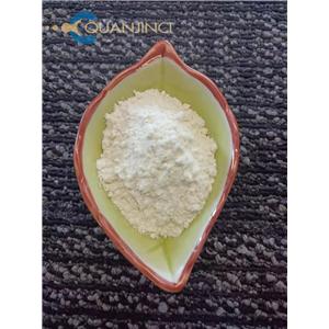 2-Pyridinealdoxime methochloride