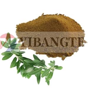 SALIX ALBA (WILLOW) BARK EXTRACT