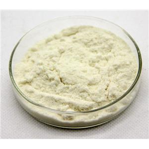 SILICOTUNGSTIC ACID HYDRATE