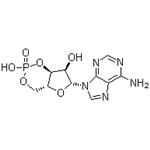 60-92-4 Cyclic AMP