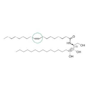 Ceramides