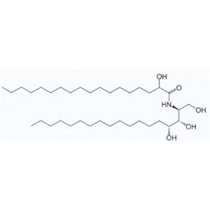 Ceramides