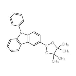 9-Phenyl-9H-carbazole-3-boronic acid pinacol ester
