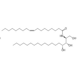 Ceramides