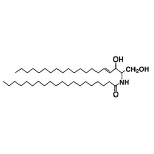 CERAMIDE NS/CERAMIDE NG