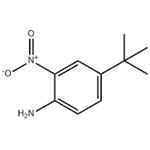 4-(TERT-BUTYL)-2-NITROANILINE pictures