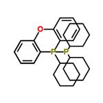 (Oxydi-2,1-phenylene)bis(dicyclohexylphosphine) pictures
