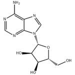 Adenosine pictures