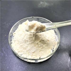 Testosterone Undecanoate