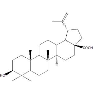 Betulinic acid