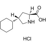 trans-4-Cyclohexyl-L-proline hydrochloride pictures