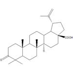 Betulonicacid pictures