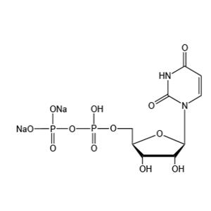 Uridine 5’-diphosphate disodium salt（UDP-Na2）