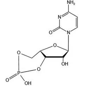 Cytidine3',5'-cyclic monophosphate (cCMP)