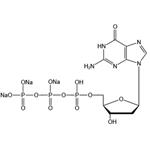 2'-Deoxyguanosine 5'-triphosphate trisodium salt (dGTP-Na3) pictures