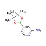 2-Aminopyridine-4-boronic acid, pinacol ester pictures
