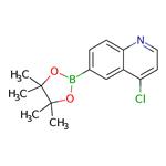 4-Chloroquinoline-6-boronic acid pinacol ester pictures