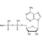 Adenosine 5’-diphosphate monosodium salt（ADP-Na） pictures