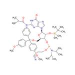 DMT-2'O-TBDMS-rG(ib) Phosphoramidite pictures