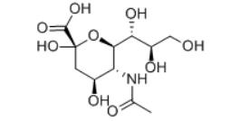 N-Acetylneuraminic Acid Structure