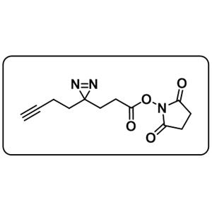 Alkyne-Diazirine-NHS ester