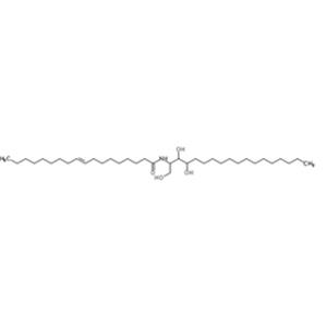 Ceramides