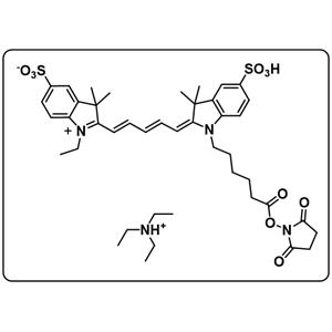 Sulfo-Cyanine5 NHS ester(TEA)