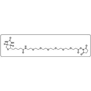 Biotin-PEG6-NHS ester