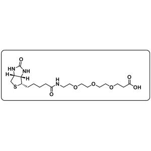 Biotin-PEG3-COOH