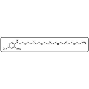 DNP-PEG7-NH2