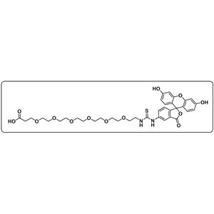 5-FITC-PEG6-COOH