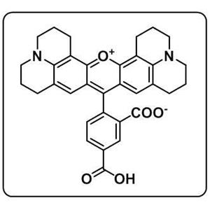 5-Carboxy-X-Rhodamine