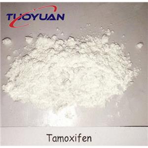 Tamoxifen Citrate Nolvadex