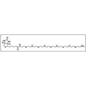 Biotin-PEG9-amine