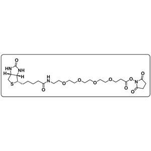 Biotin-PEG4-NHS ester