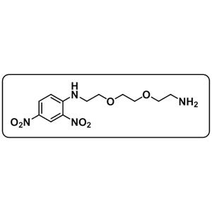 DNP-PEG2-NH2