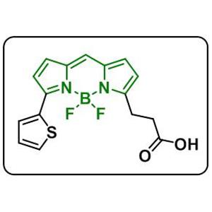 BDP 558/568 carboxylic acid